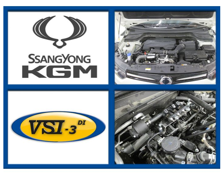 VSI-3 DI LPG SSANGYONG 1.2 G12DTF