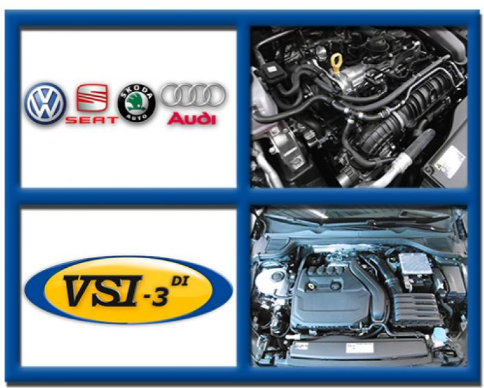 VSI-3 DI LPG VAG 1.5 DACA/DADA/DFYA/DPCA