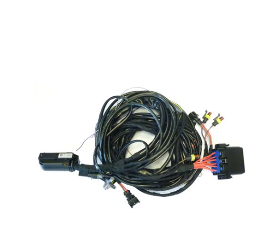 Hauptkabelbaum DLM 2.1 G4FJ + G4FD + G4NC