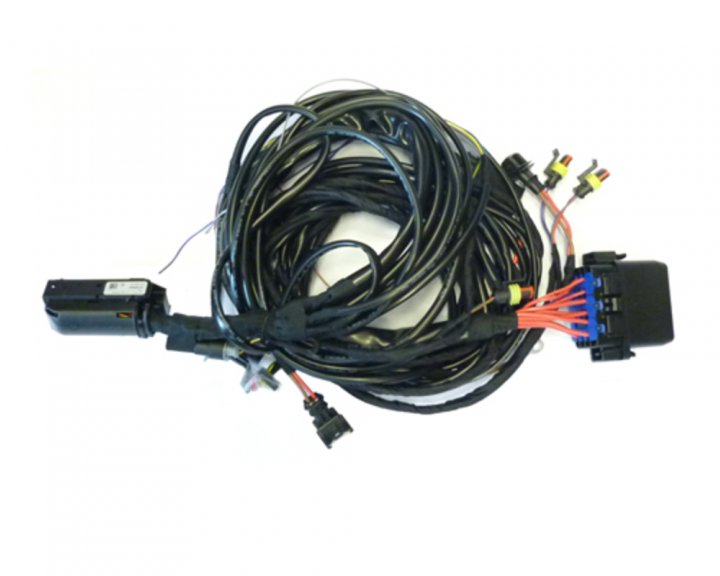 Hauptkabelbaum DLM 2.1