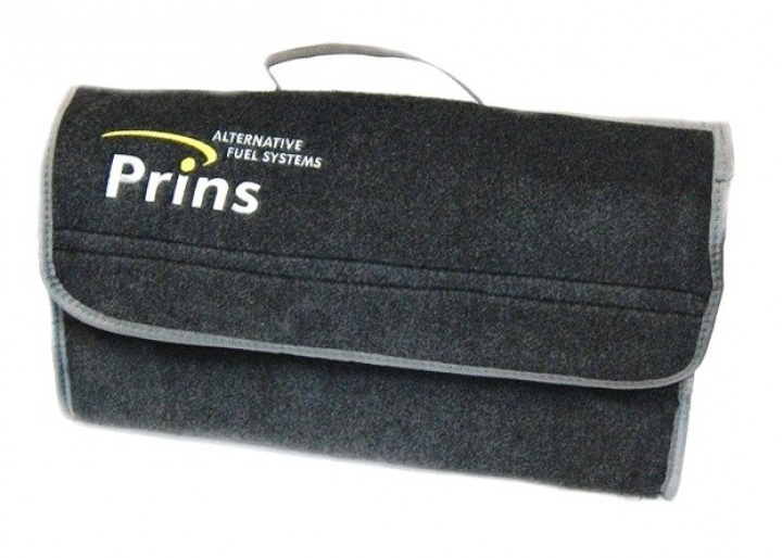 Kofferraumtasche Prins