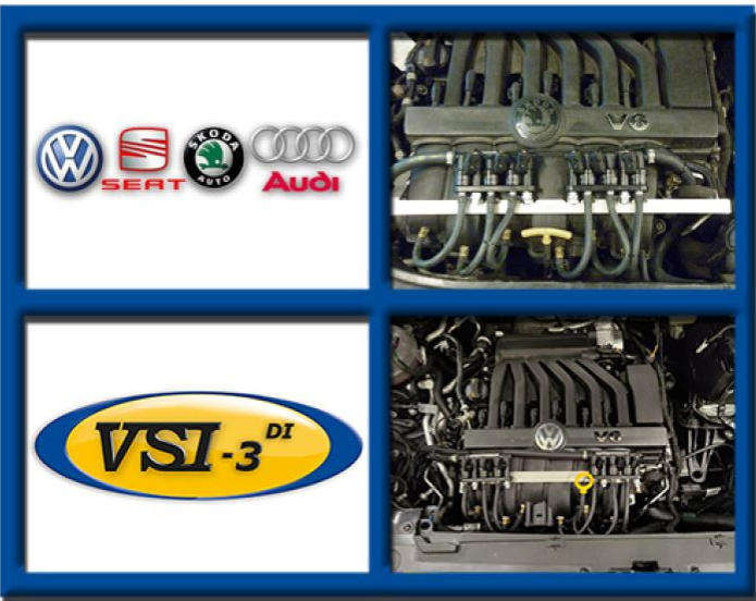 VSI-3 DI LPG VAG 3.6 CDVA / CDVC / CGRA