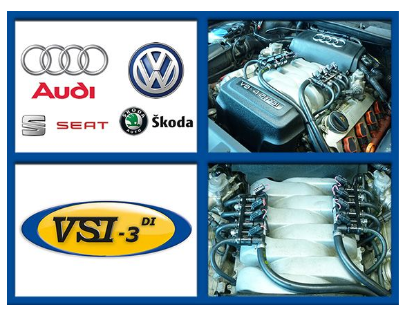 VSI-3 DI LPG VAG 4.2 BAR MY06-10