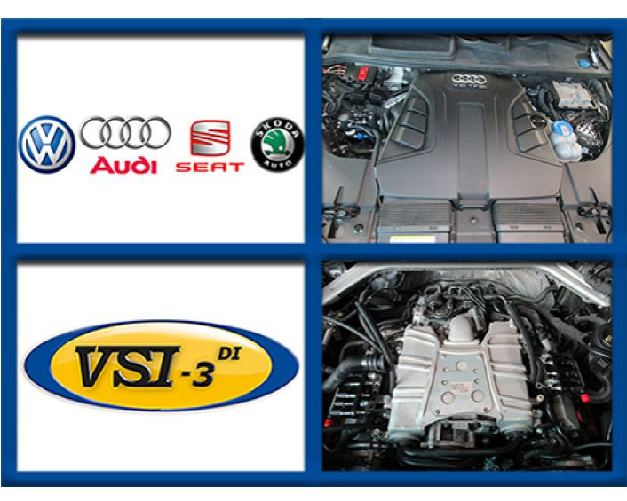 VSI-3 DI-MPI LPG VAG 3.0 CREC