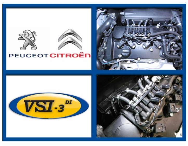 VSI-3 DI LPG PSA 1.6 5FV/5F02/EP6CDT