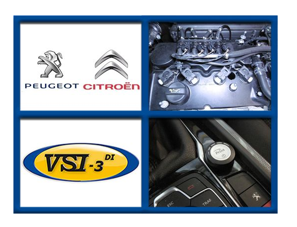 VSI-3 DI LPG PSA 1.6 5G04/5GT/5GZ/EP6FDT/EP6FDTX MY12-
