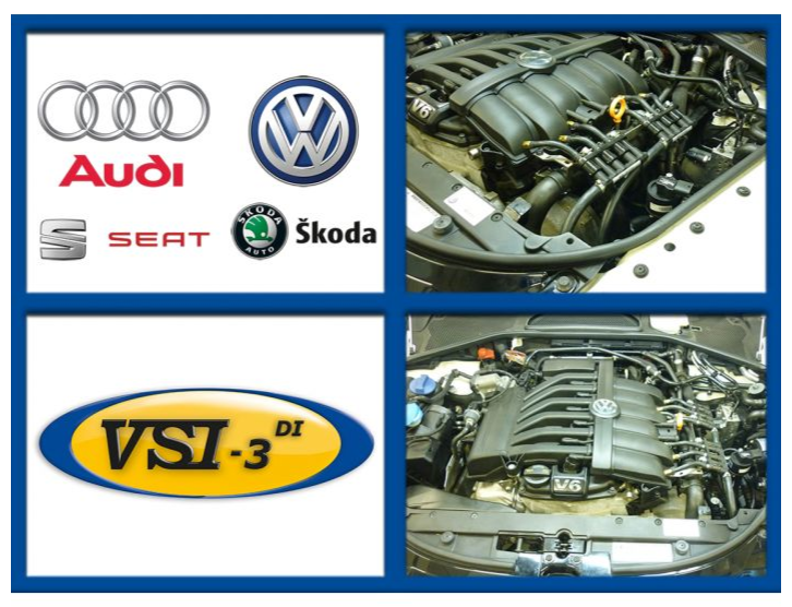 VSI-3 DI LPG VAG 3.6 CMVA