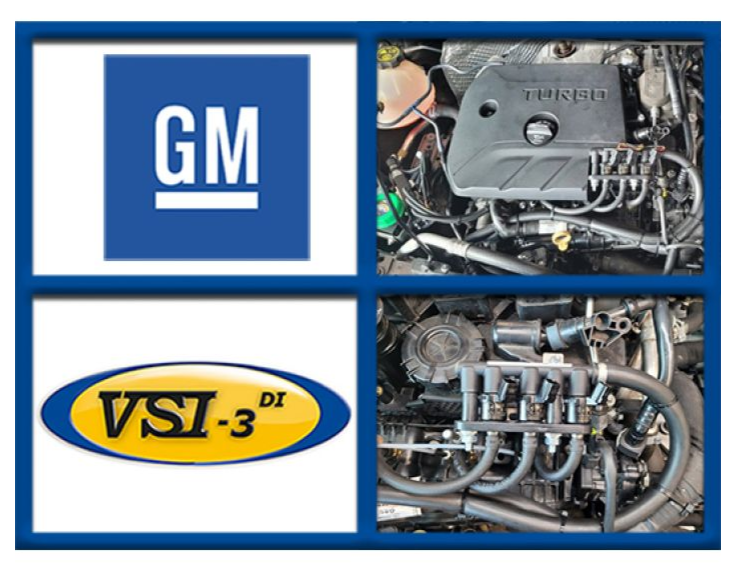 VSI-3 DI LPG GM 1.3 F14SHT/L3T