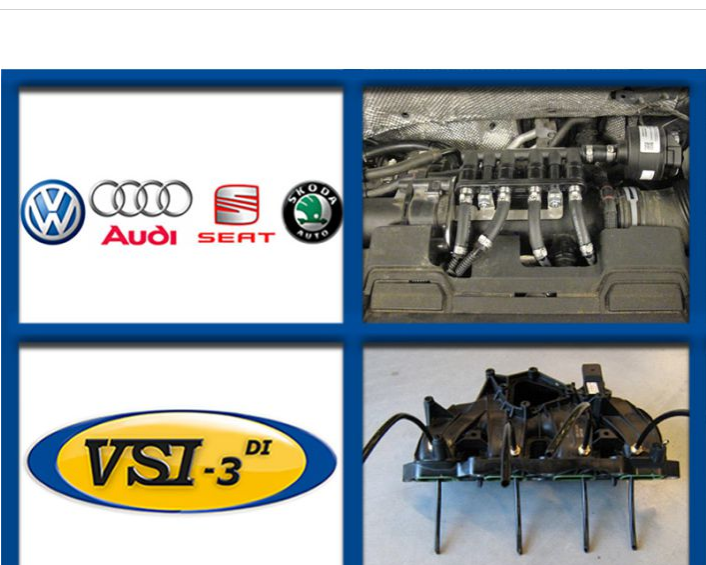 VSI-3 DI LPG VAG BLG/BMY/BWK/CAVx/CKMx/CTHx